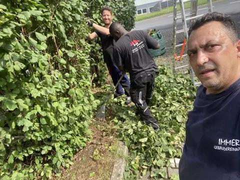 Pflege einer Hecke
